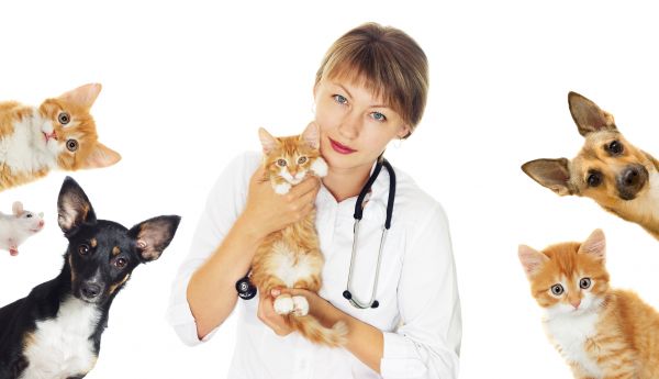 Philadelphia Pets