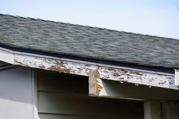 Philadelphia Wood Rot Repair