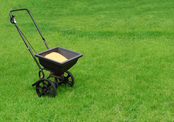 Philadelphia Lawn Treatment